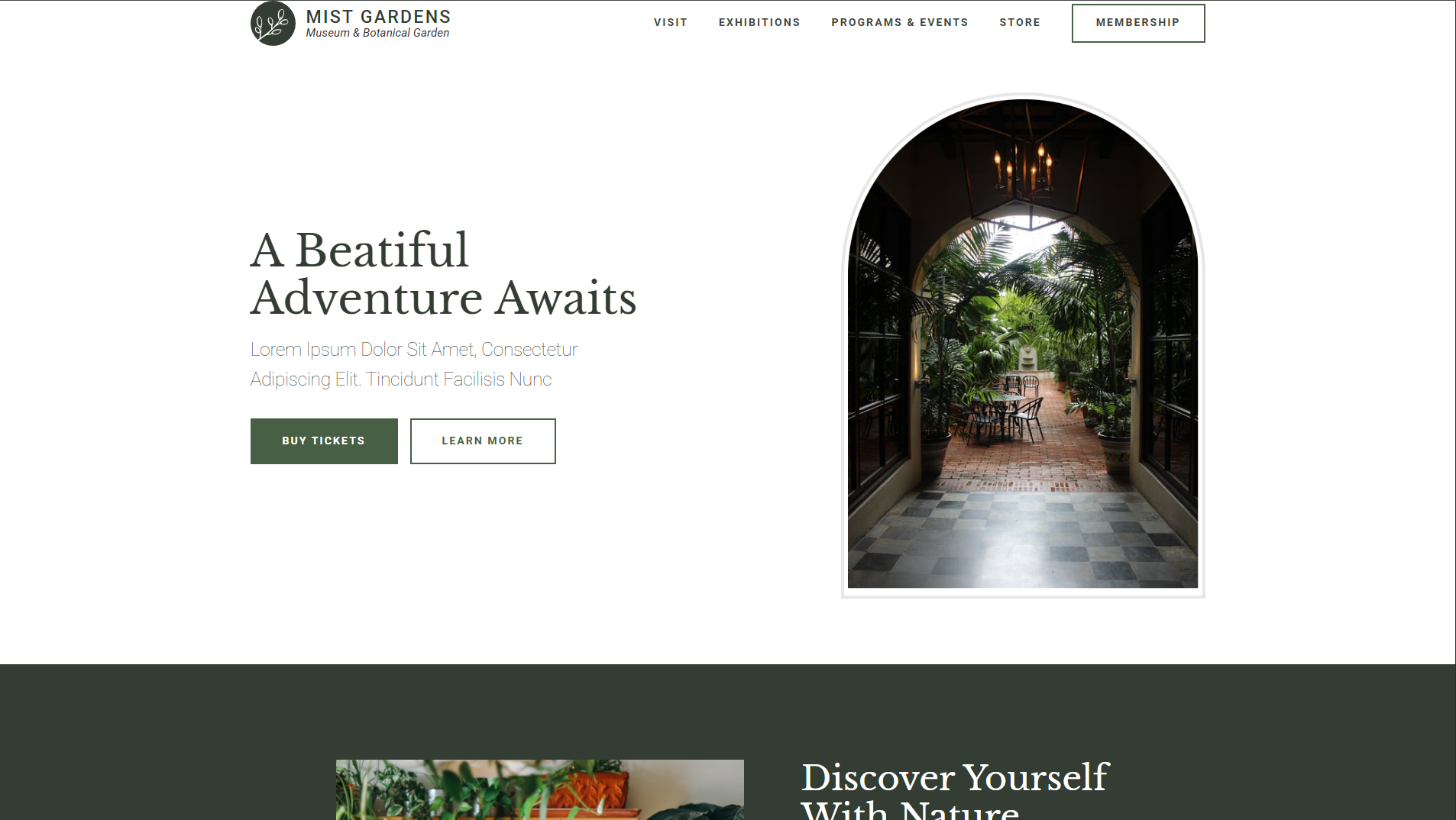 Скрин сайта